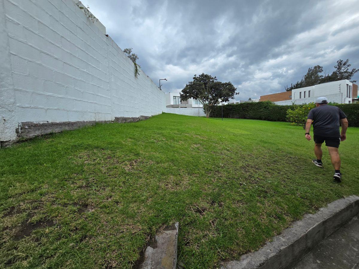 Casa - Quinta Venta Tumbaco con 2225 m² de Terreno — imagen 3