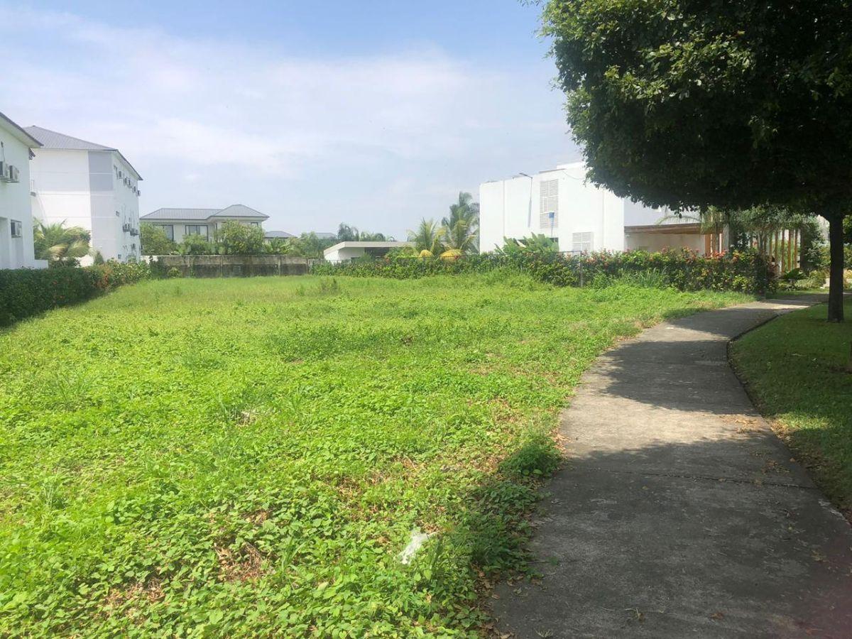 Vendo Terreno Unifamiliar en Isla Mocolí – Urbanización Mónaco, Guayas — imagen 4