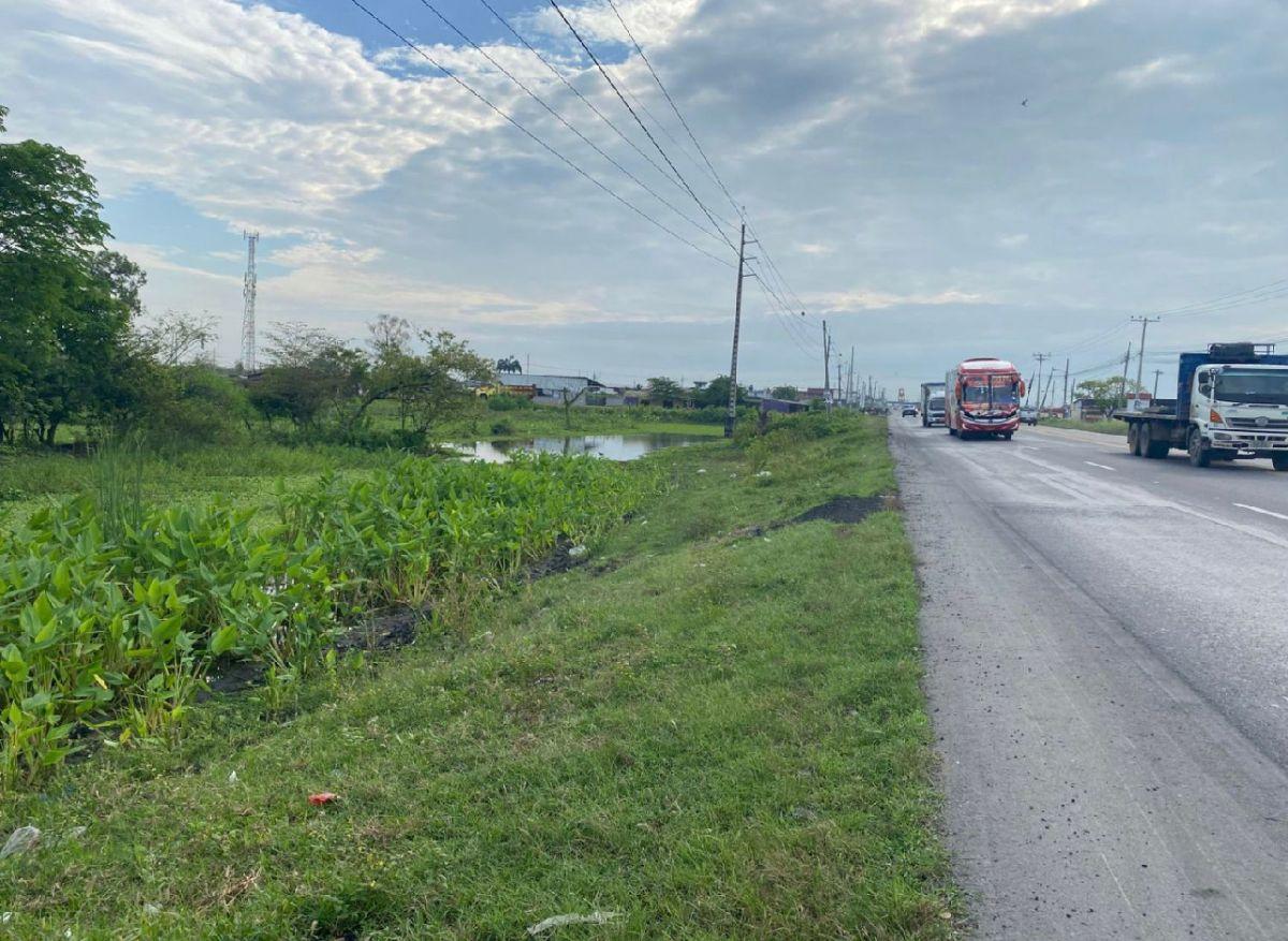 Venta 2,89 Has Via Al Pan - Yaguachi, Km. 8, Sector La Providencia, con 58.40 m de Frente, Guayas — imagen 4