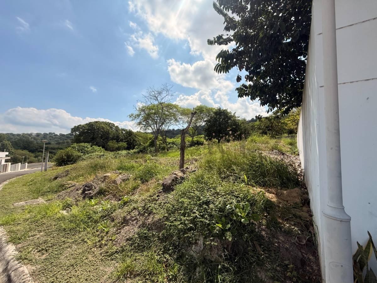 Terreno Exclusivo con Vista Privilegiada en Terrazas del Valle, Portoviejo, Manabí — imagen 10