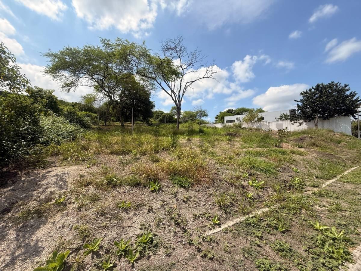 Terreno Exclusivo con Vista Privilegiada en Terrazas del Valle, Portoviejo, Manabí — imagen 7
