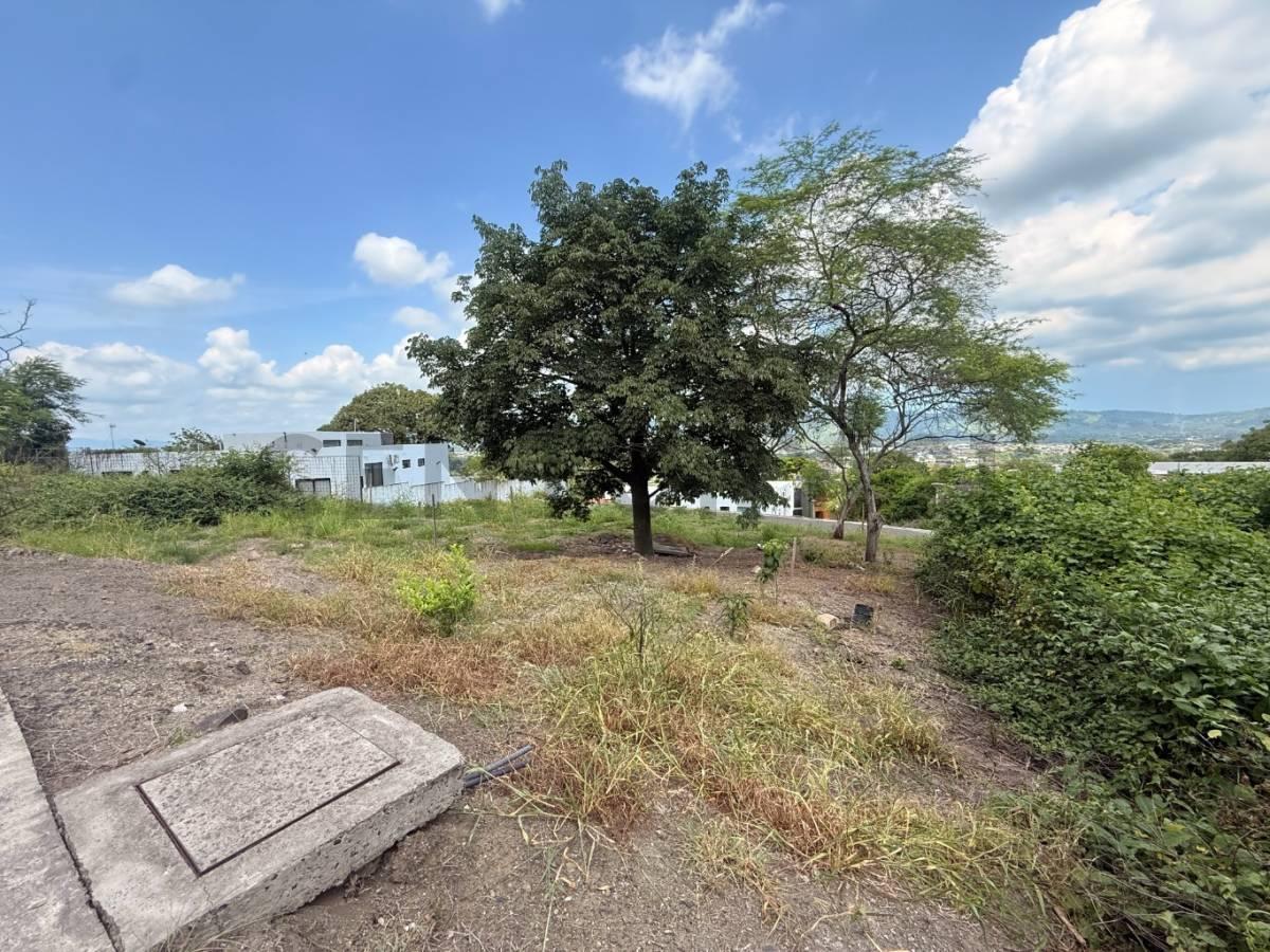 Terreno Exclusivo con Vista Privilegiada en Terrazas del Valle, Portoviejo, Manabí — imagen 5