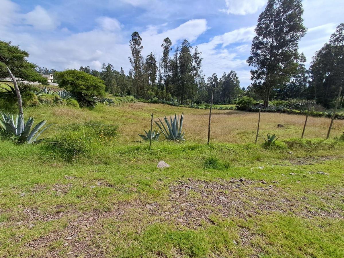 Terreno en Alangasi — imagen 8