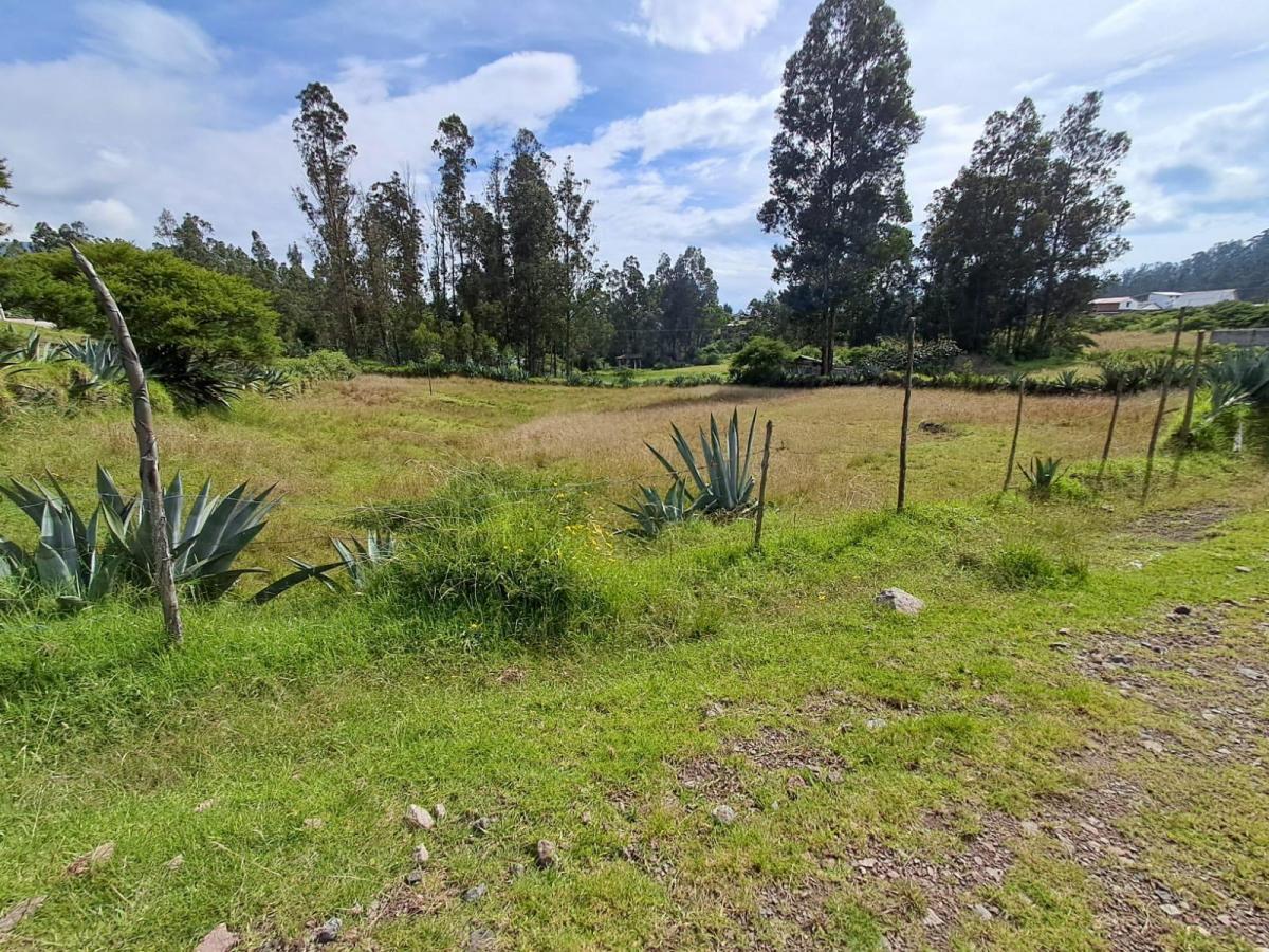 Terreno en Alangasi — imagen 7
