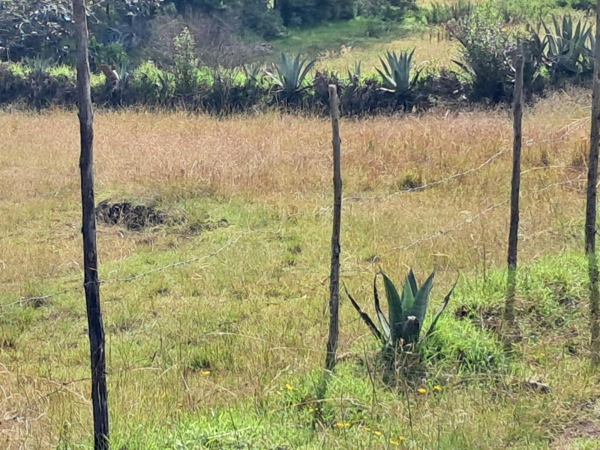 Terreno en Alangasi — imagen 6