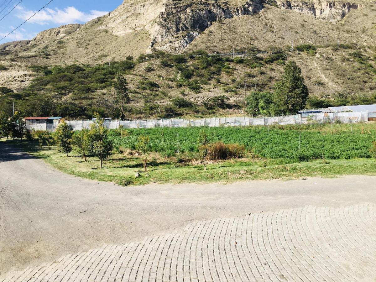 Jal. Venta Terreno Plano Cerca a Guayllabamba. 15.000 m² a $35 m² — imagen 9