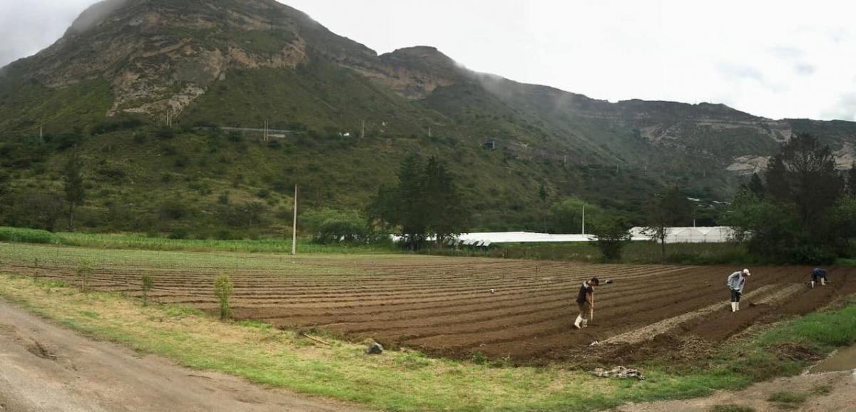 Jal. Venta Terreno Plano Cerca a Guayllabamba. 15.000 m² a $35 m² — imagen 6