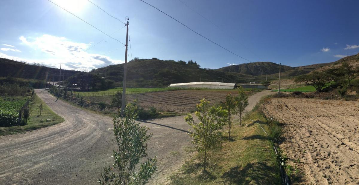 Jal. Venta Terreno Plano Cerca a Guayllabamba. 15.000 m² a $35 m² — imagen 5