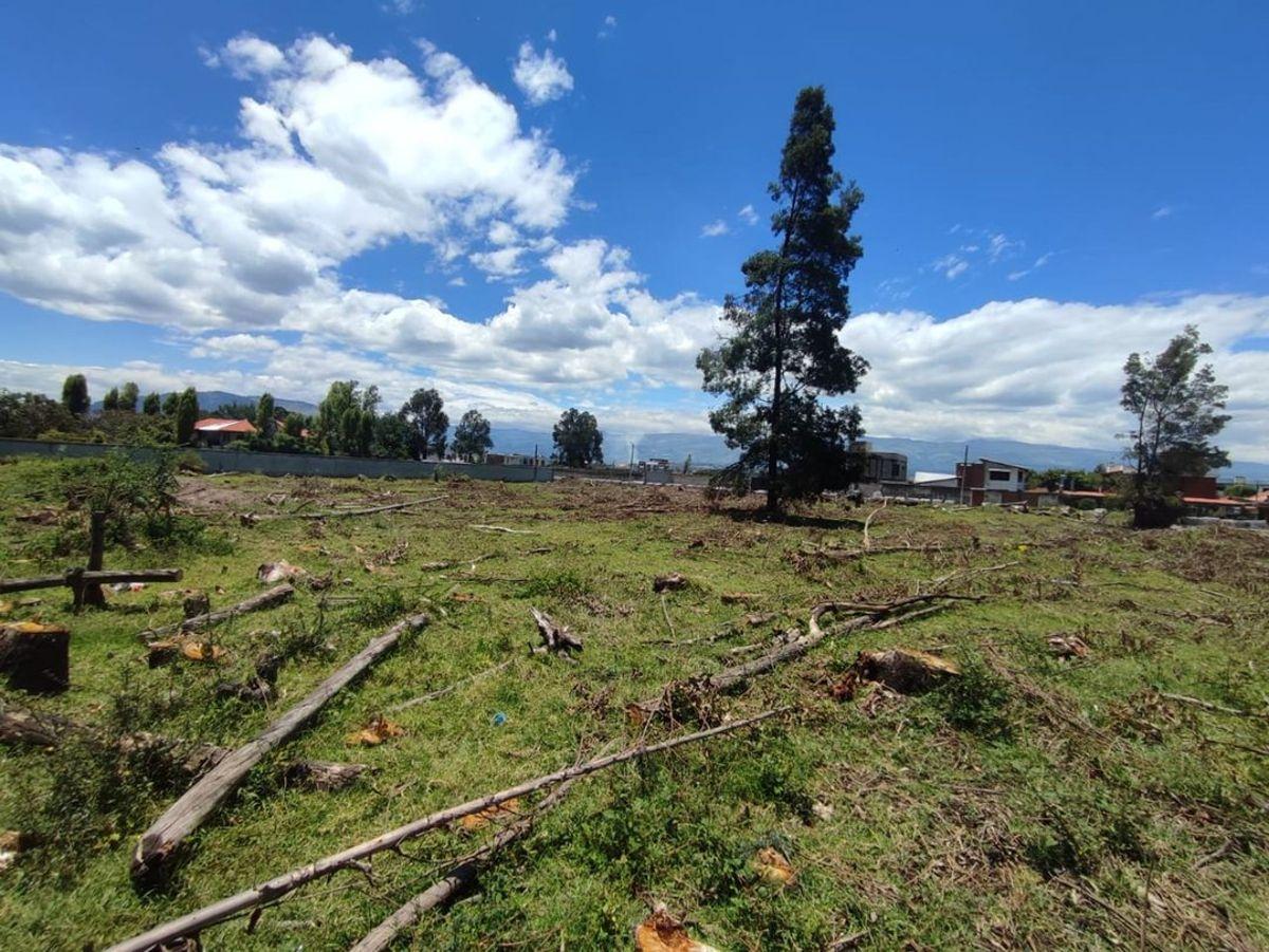 Vendo Amplio Terreno Independiente, Conocoto — imagen 8