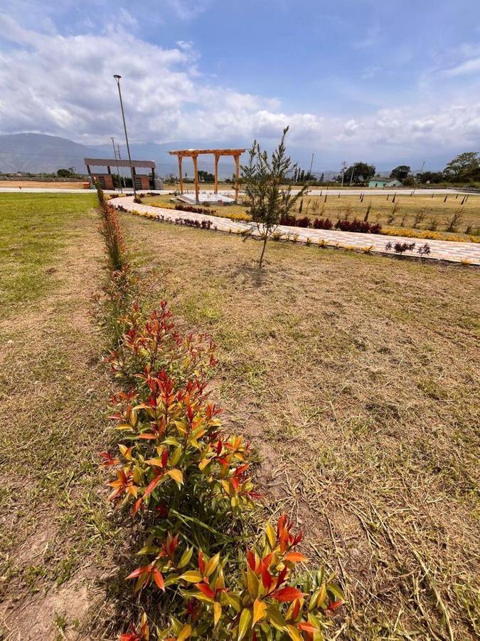 Terreno en Venta en Urbanización El Naranjo – Urcuquí, Imbabura, Imbabura — imagen 9