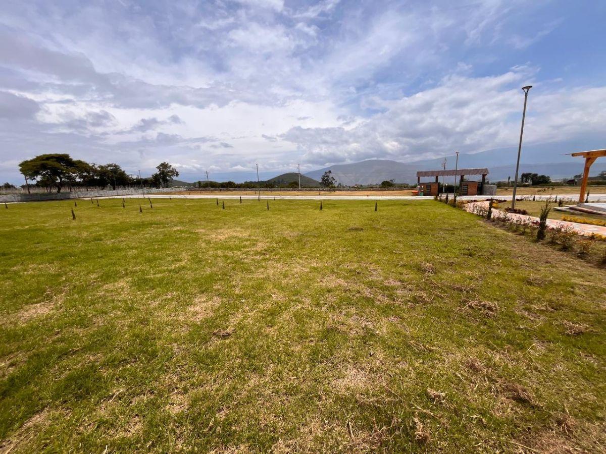 Terreno en Venta en Urbanización El Naranjo – Urcuquí, Imbabura, Imbabura — imagen 6