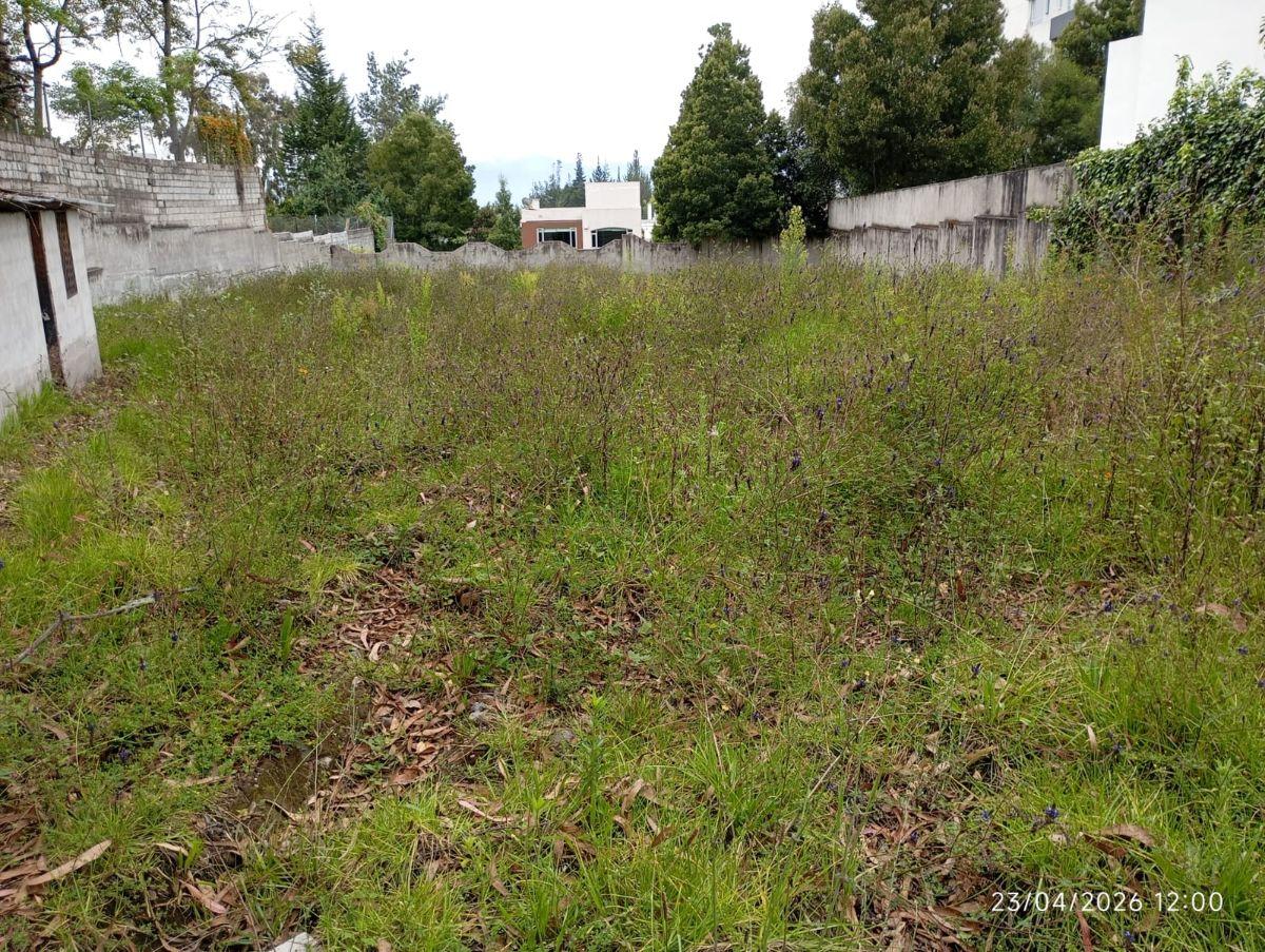 Vendo Terreno en Lomas de Monteserrin — imagen 6