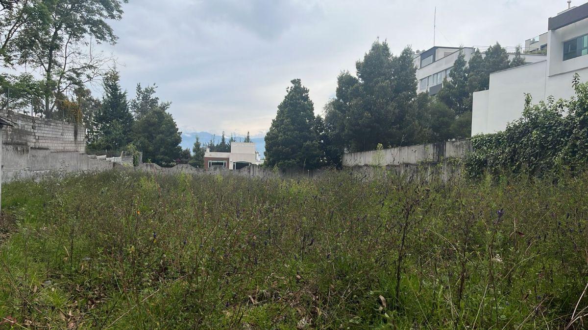 Vendo Terreno en Lomas de Monteserrin — imagen 3