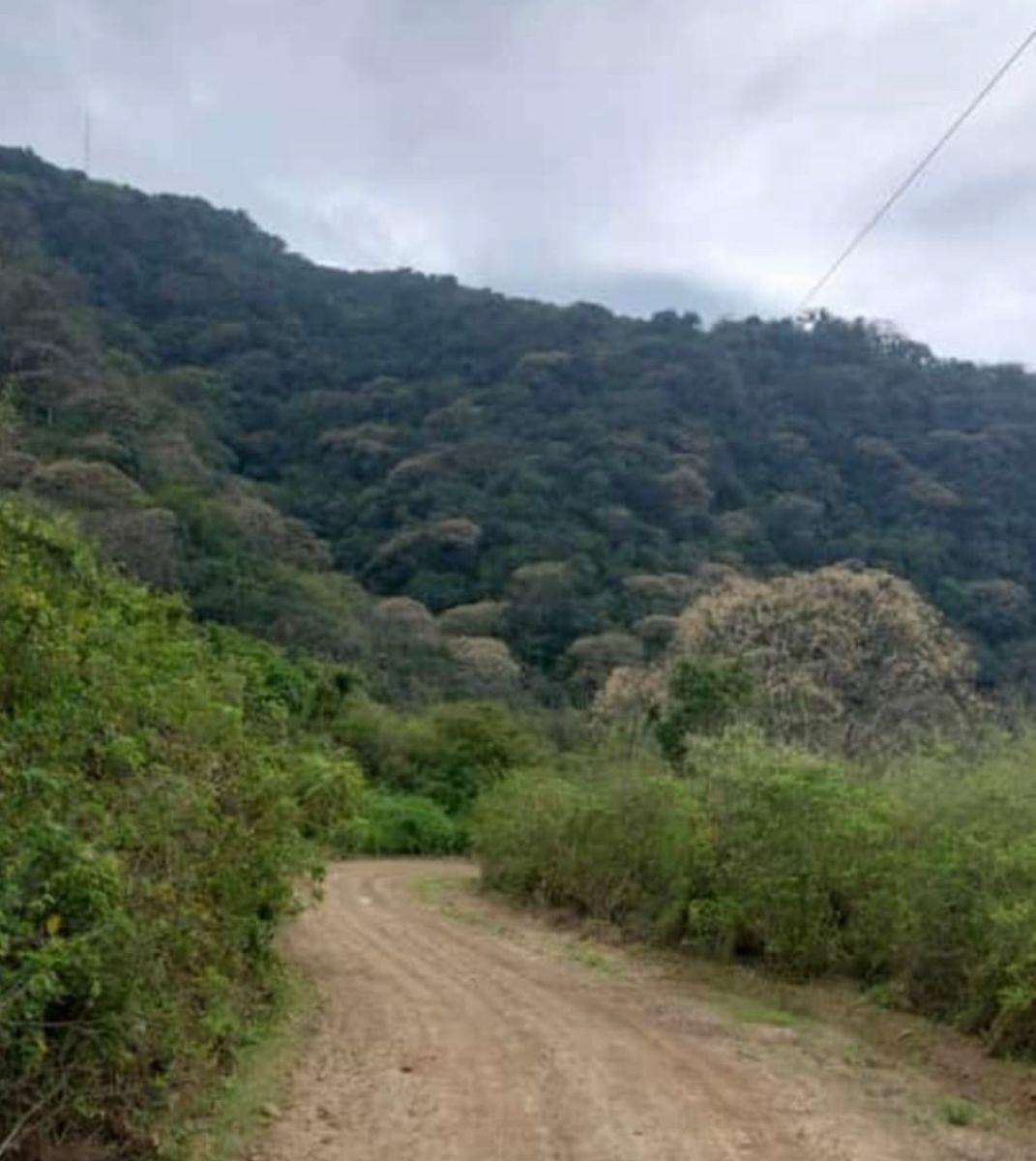 Venta 275 Has en Montecristi, Prov. de Manabí, en El Sitio Denominado Cerro Jaboncillo -, Manabí — imagen 6