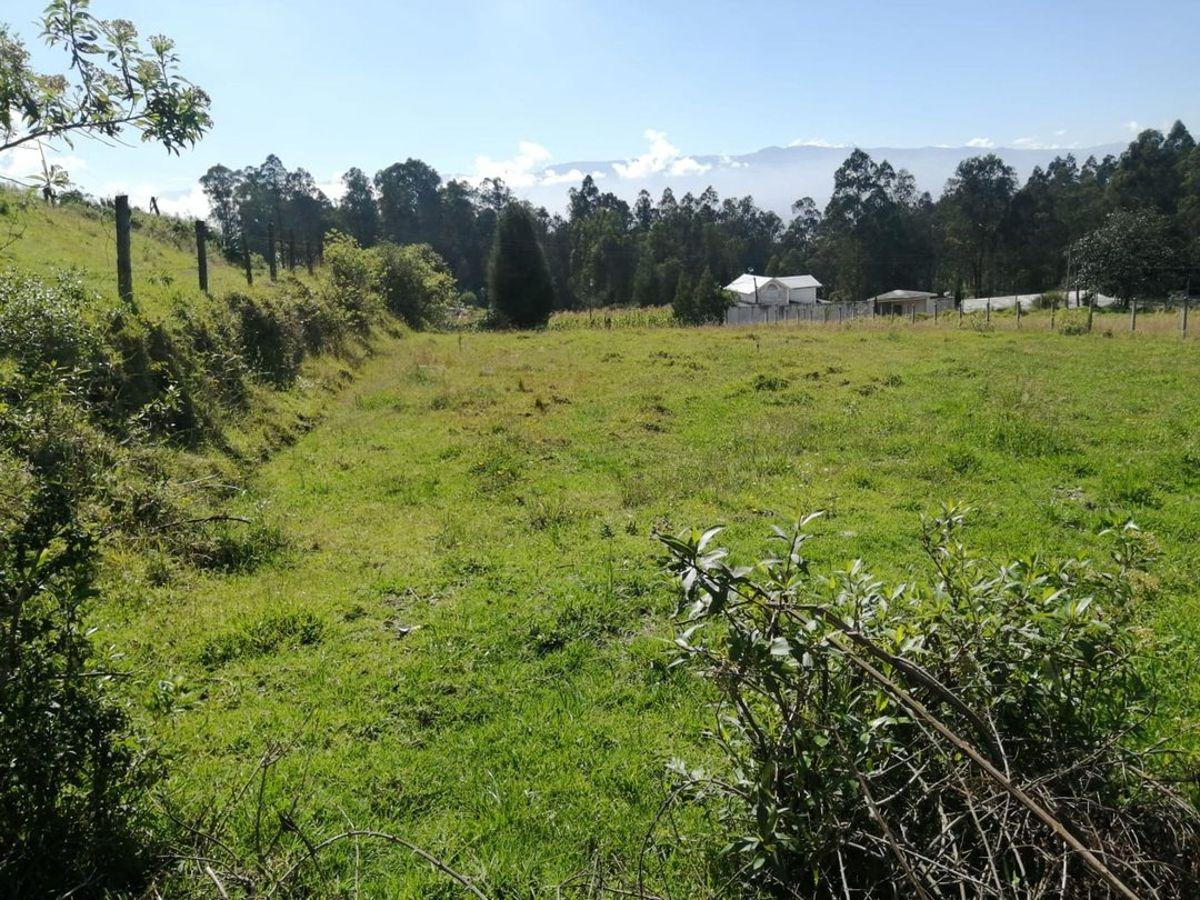 Venta de Terreno en Ontaneda Alto — imagen 6