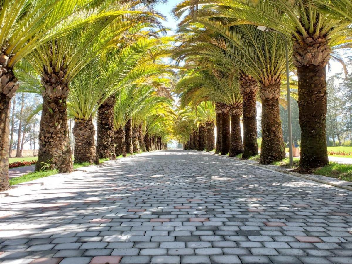 Hermoso Terreno Dentro de Urbanización de Lujo en Puembo — imagen 7