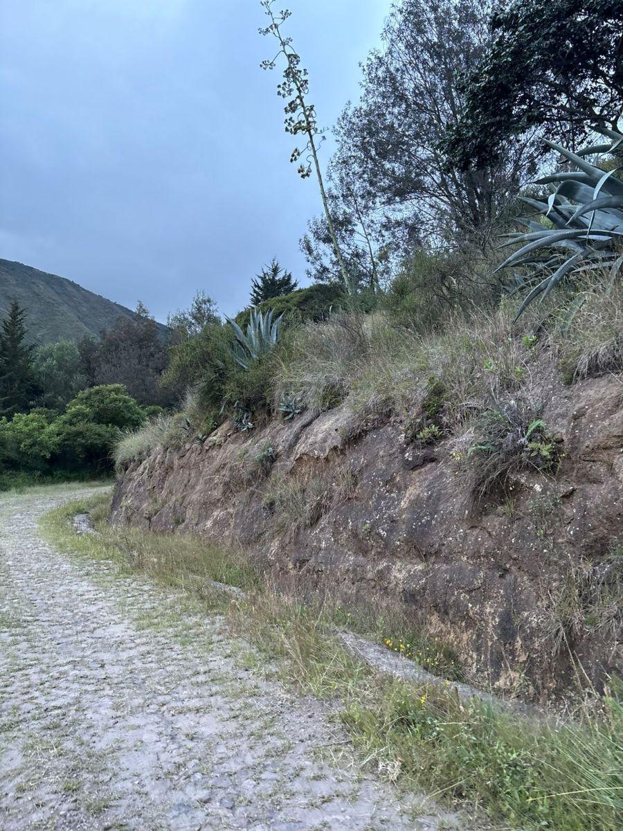 Vendo o Arriendo 14 Hc en Tumbaco Sector Tola Chica — imagen 5