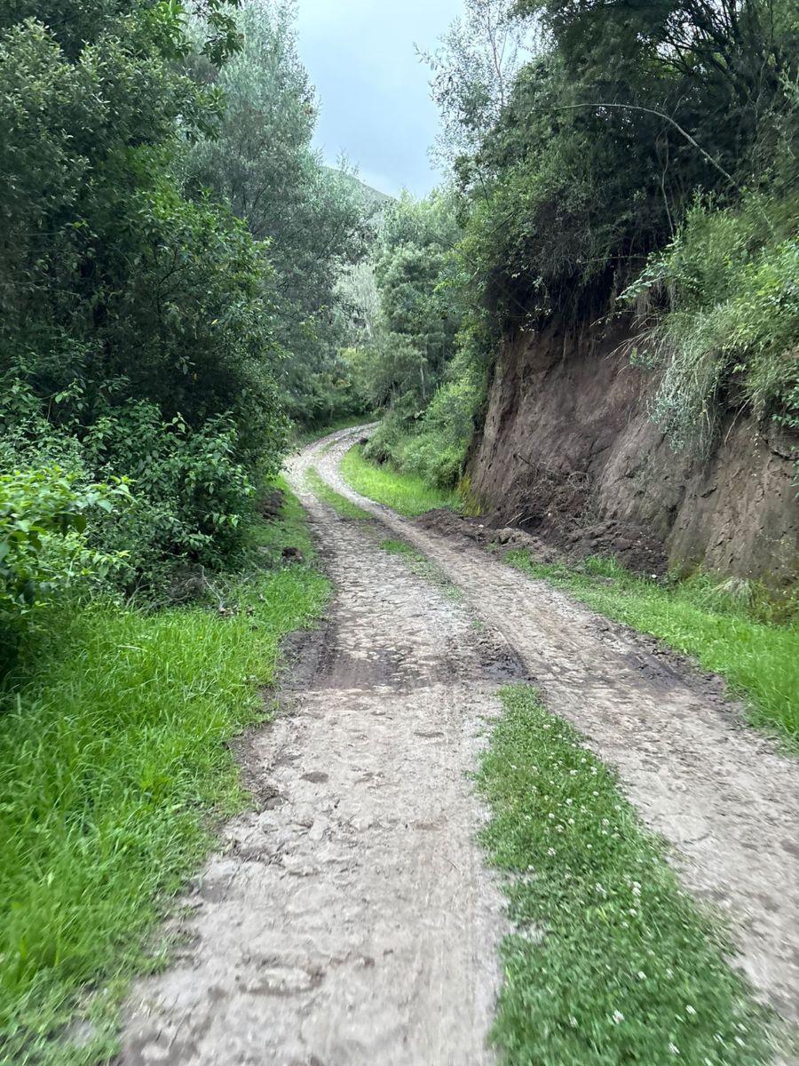 Vendo o Arriendo 14 Hc en Tumbaco Sector Tola Chica — imagen 4