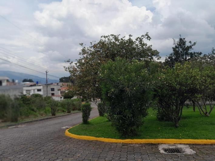 Se Vende Departamento en Conocoto — imagen 5