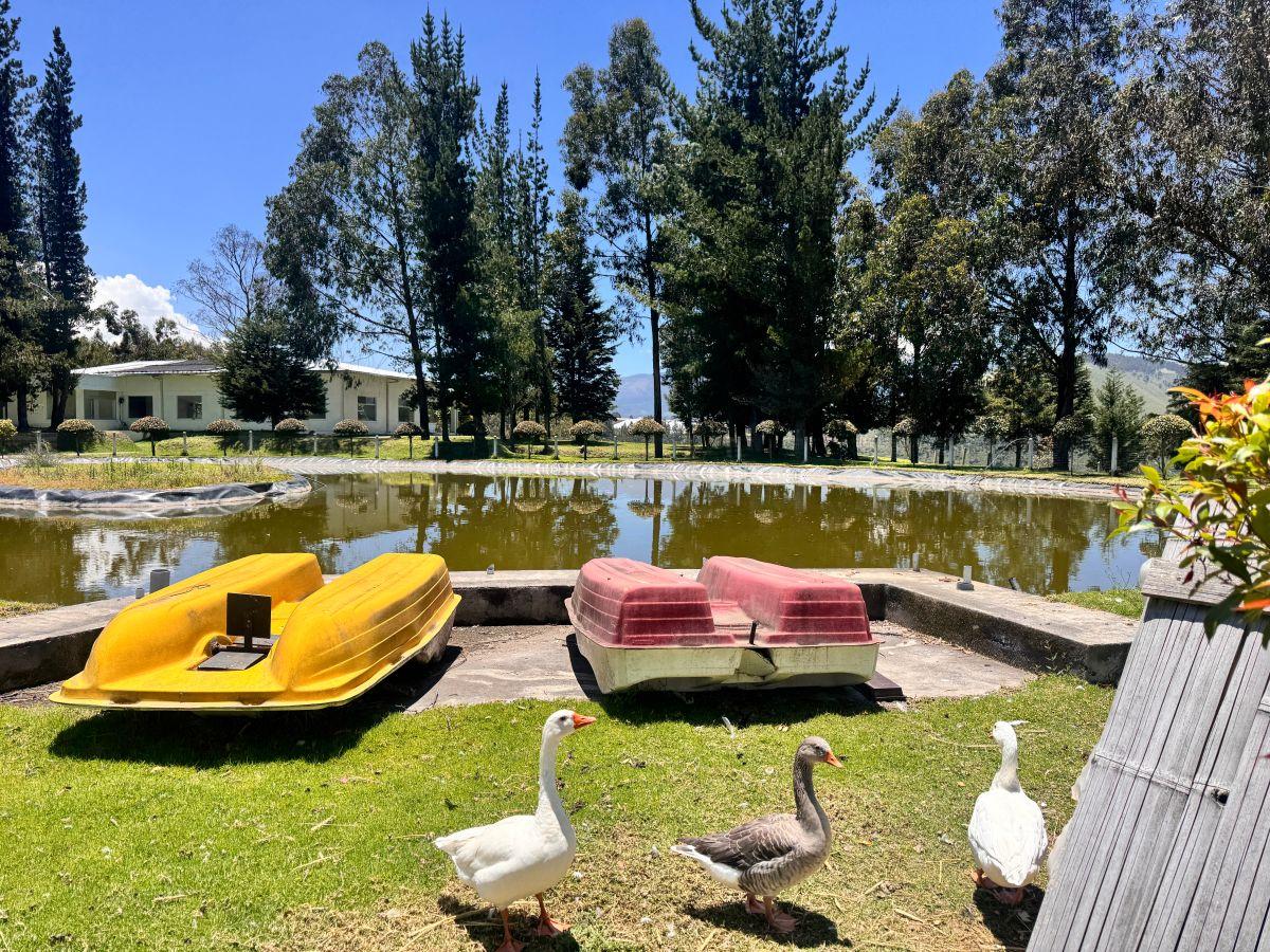 Terreno en Venta - 300 m² - Tabacundo Urbanizacion Privada - Ideal Para Casa de Campo — imagen 9