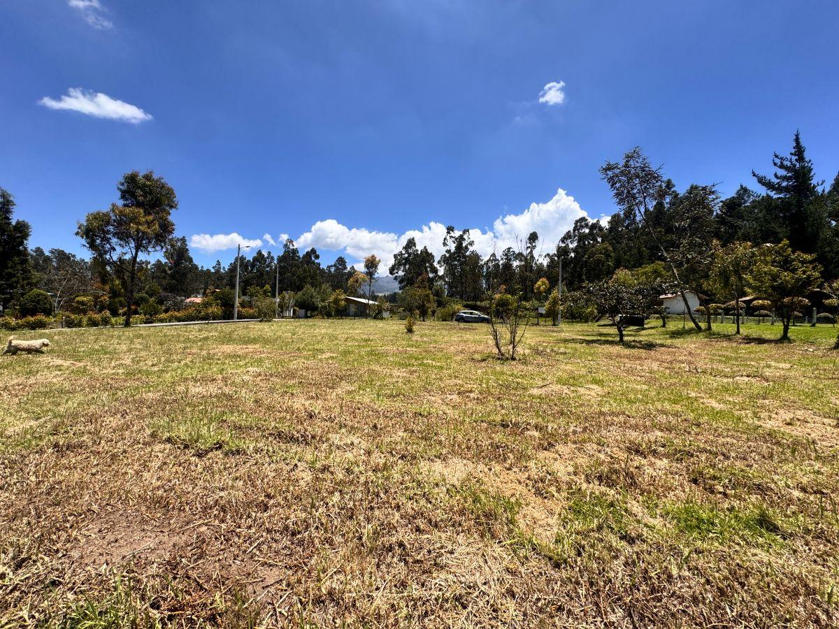 Terreno en Venta - 300 m² - Tabacundo Urbanizacion Privada - Ideal Para Casa de Campo — imagen 7