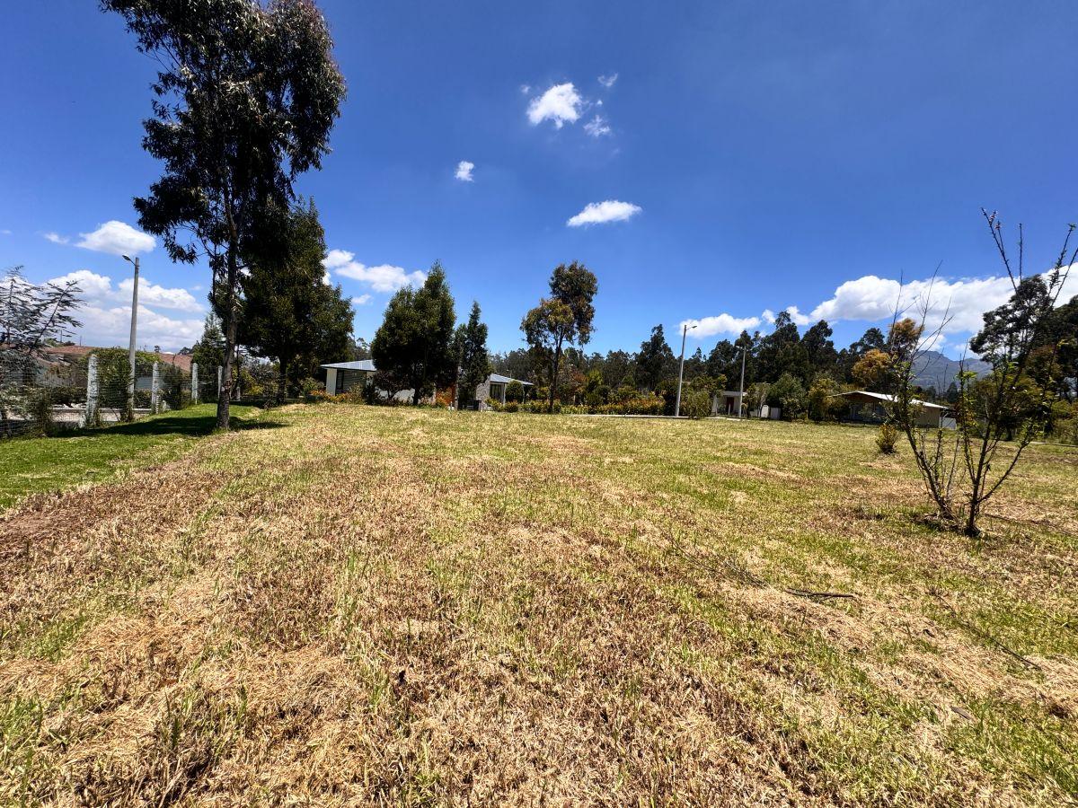 Terreno en Venta - 300 m² - Tabacundo Urbanizacion Privada - Ideal Para Casa de Campo — imagen 6