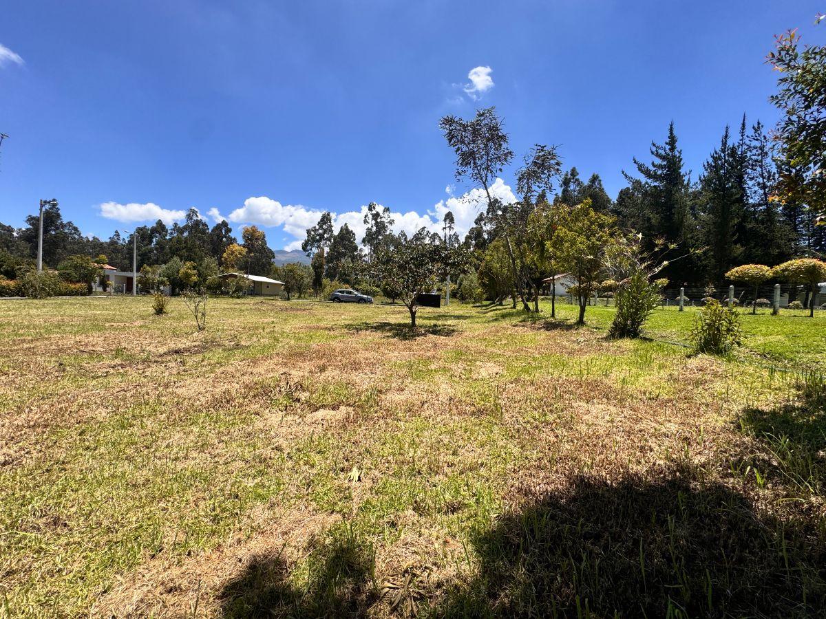 Terreno en Venta - 300 m² - Tabacundo Urbanizacion Privada - Ideal Para Casa de Campo — imagen 5