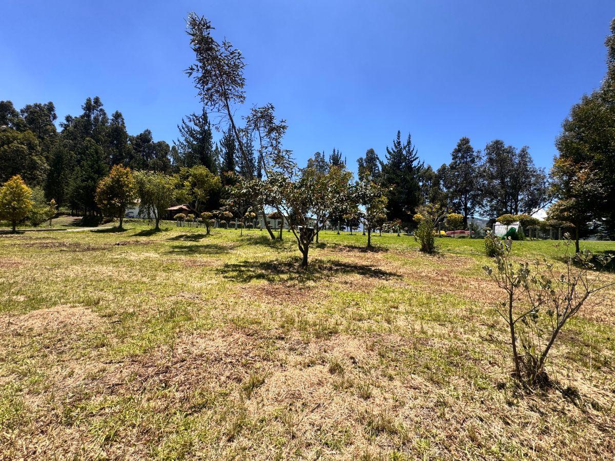 Terreno en Venta - 300 m² - Tabacundo Urbanizacion Privada - Ideal Para Casa de Campo — imagen 3