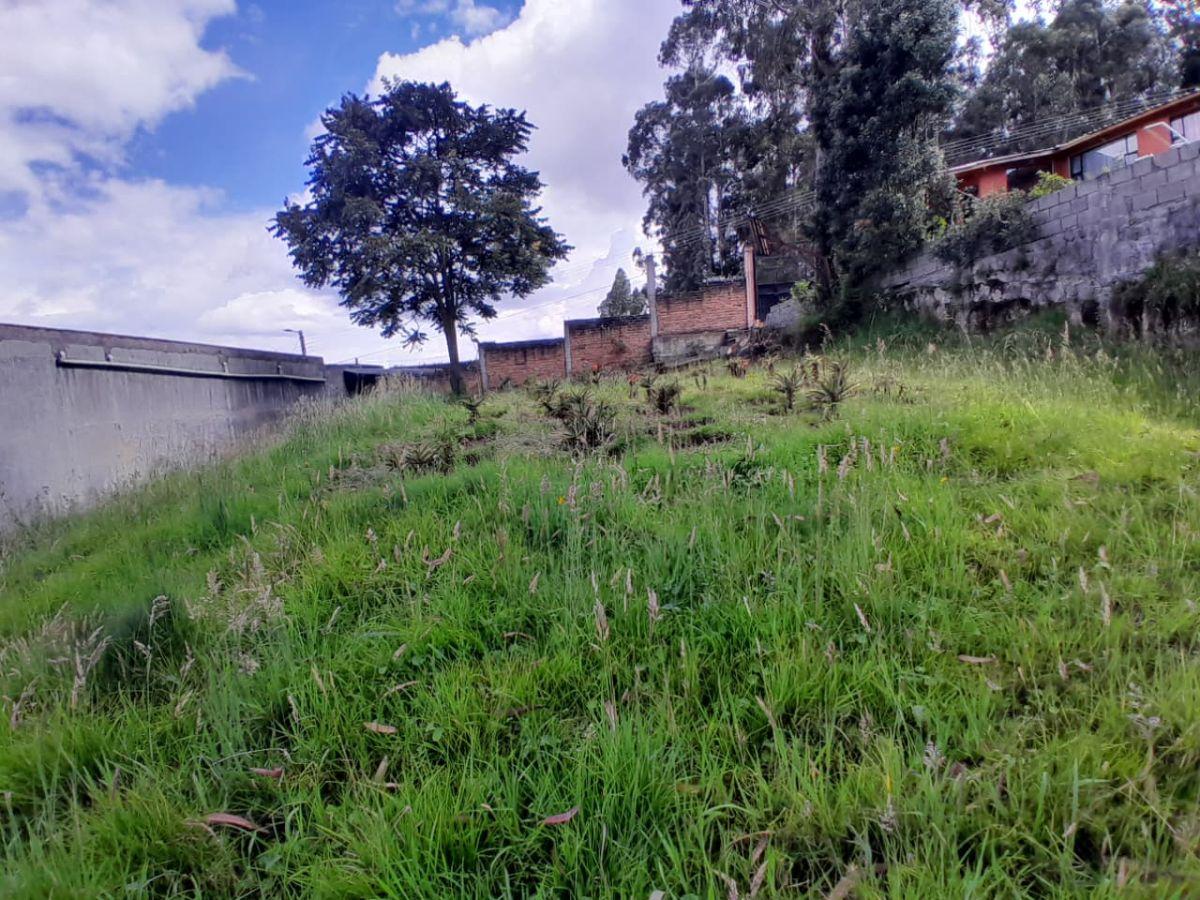 Terreno de 1200 m² en Venta en Cochapamba — imagen 10