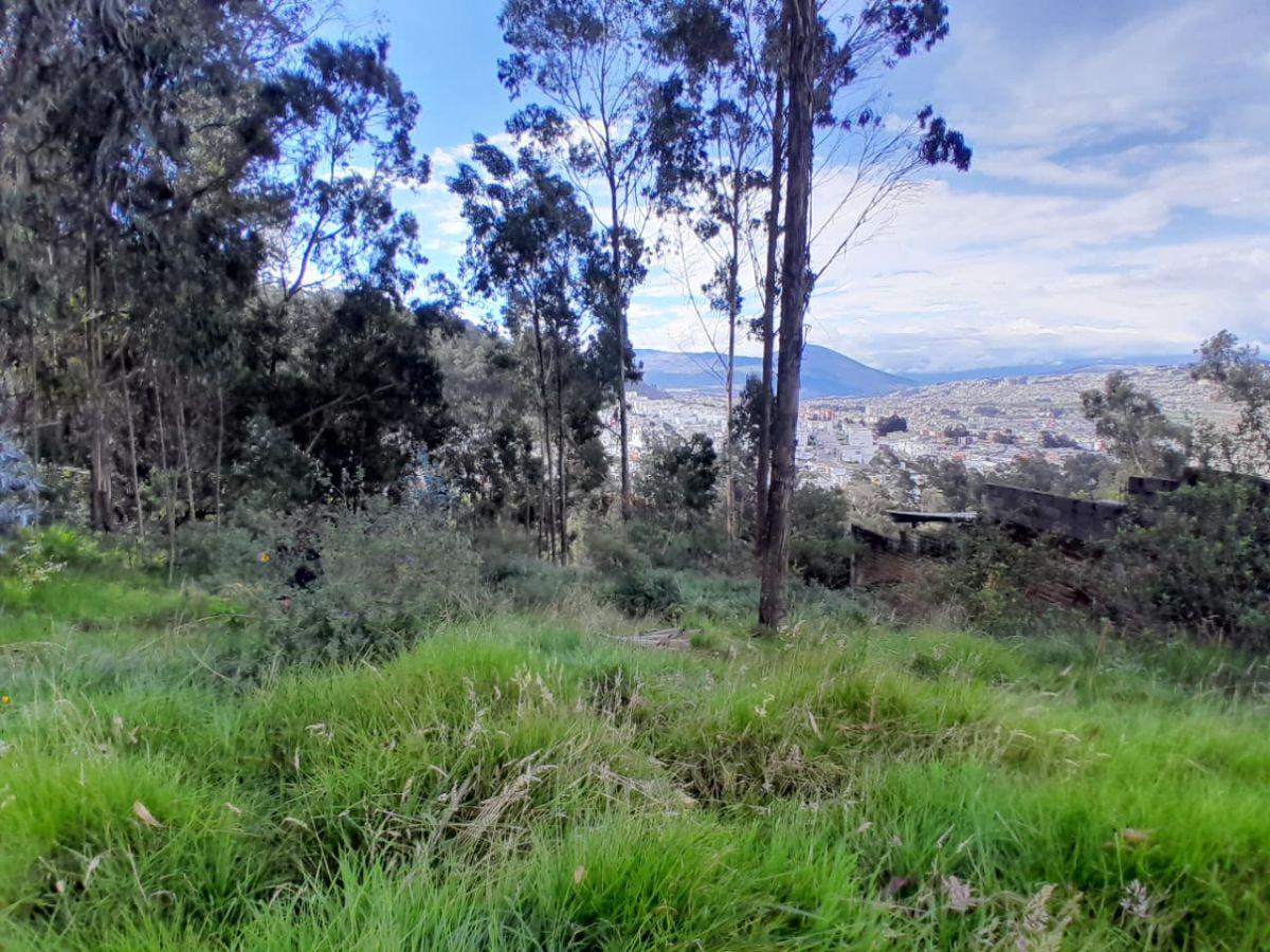 Terreno de 1200 m² en Venta en Cochapamba — imagen 9