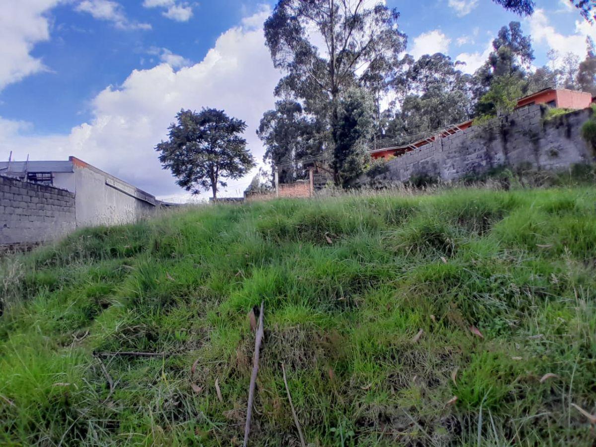 Terreno de 1200 m² en Venta en Cochapamba — imagen 8