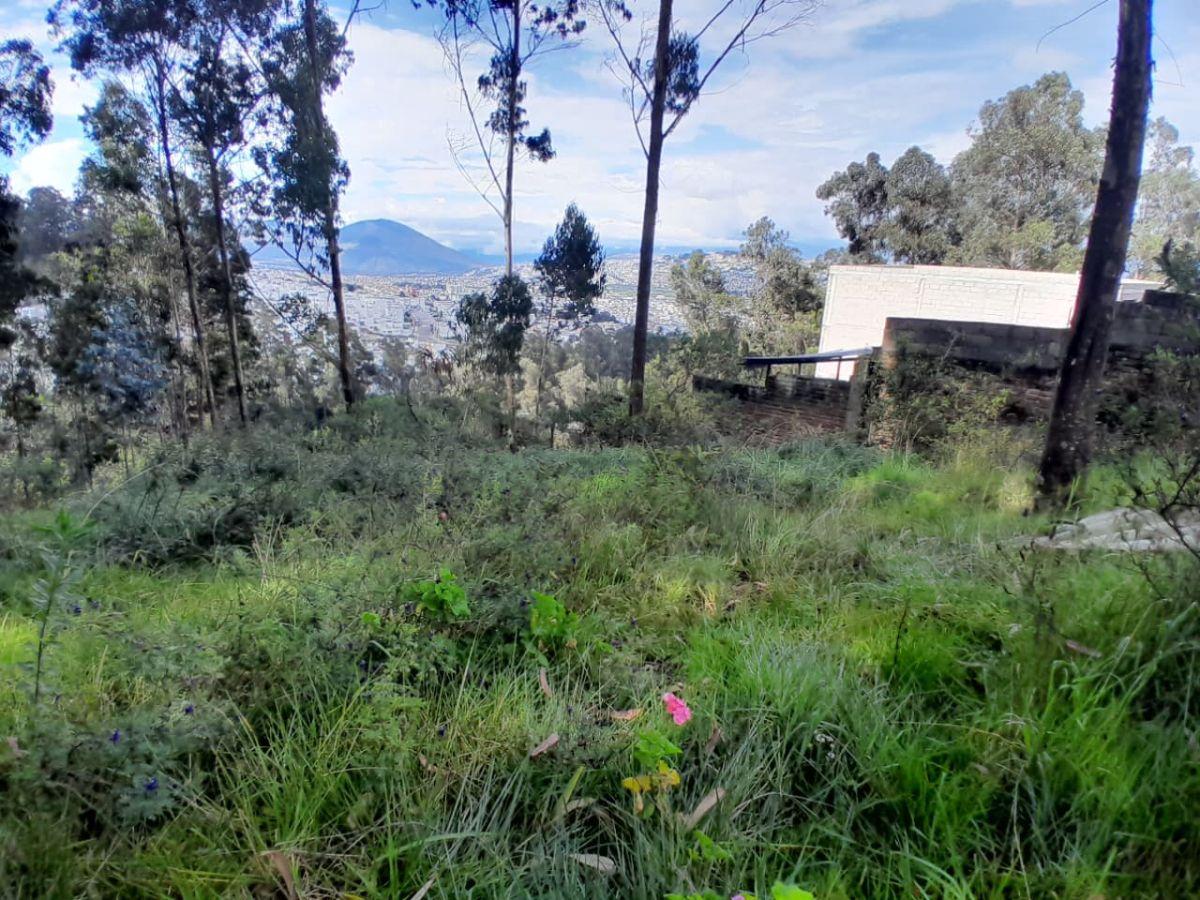 Terreno de 1200 m² en Venta en Cochapamba — imagen 7