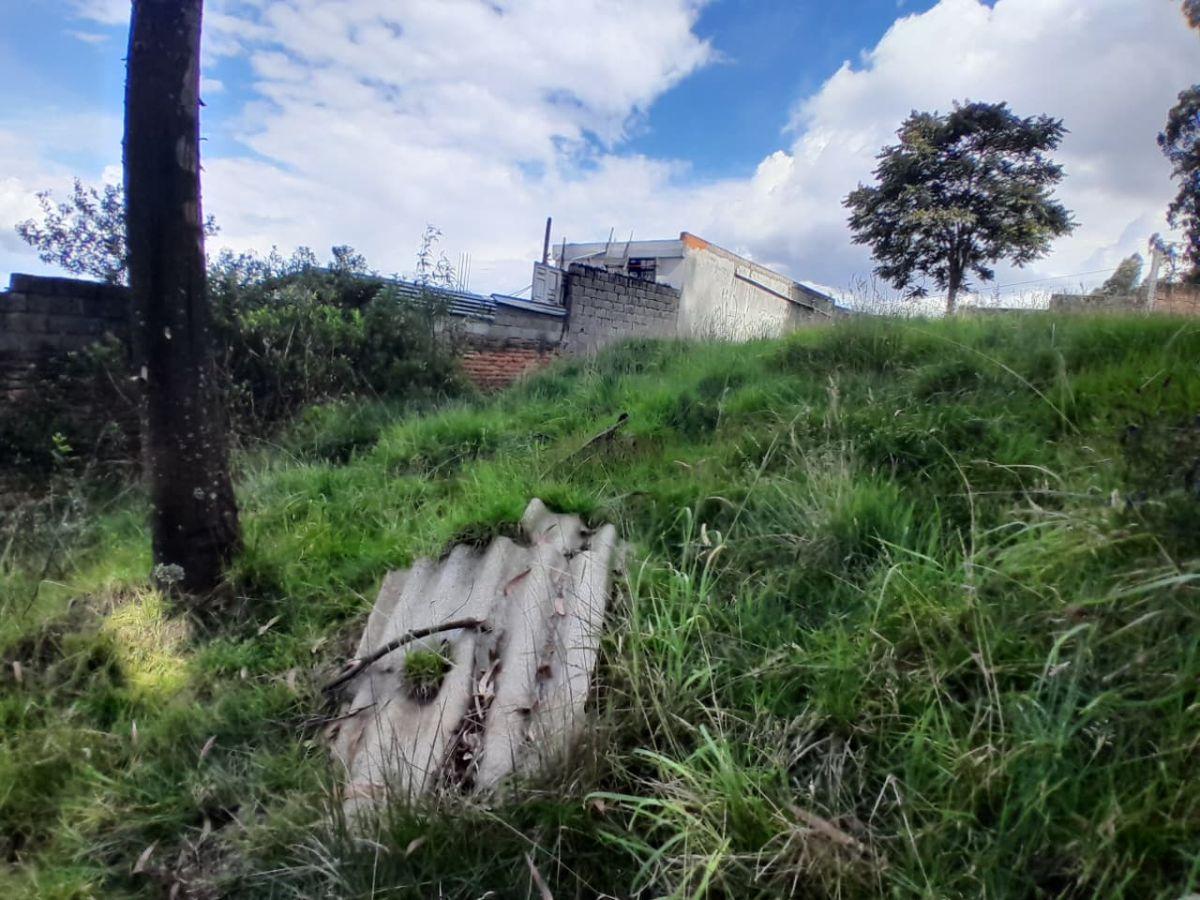 Terreno de 1200 m² en Venta en Cochapamba — imagen 6