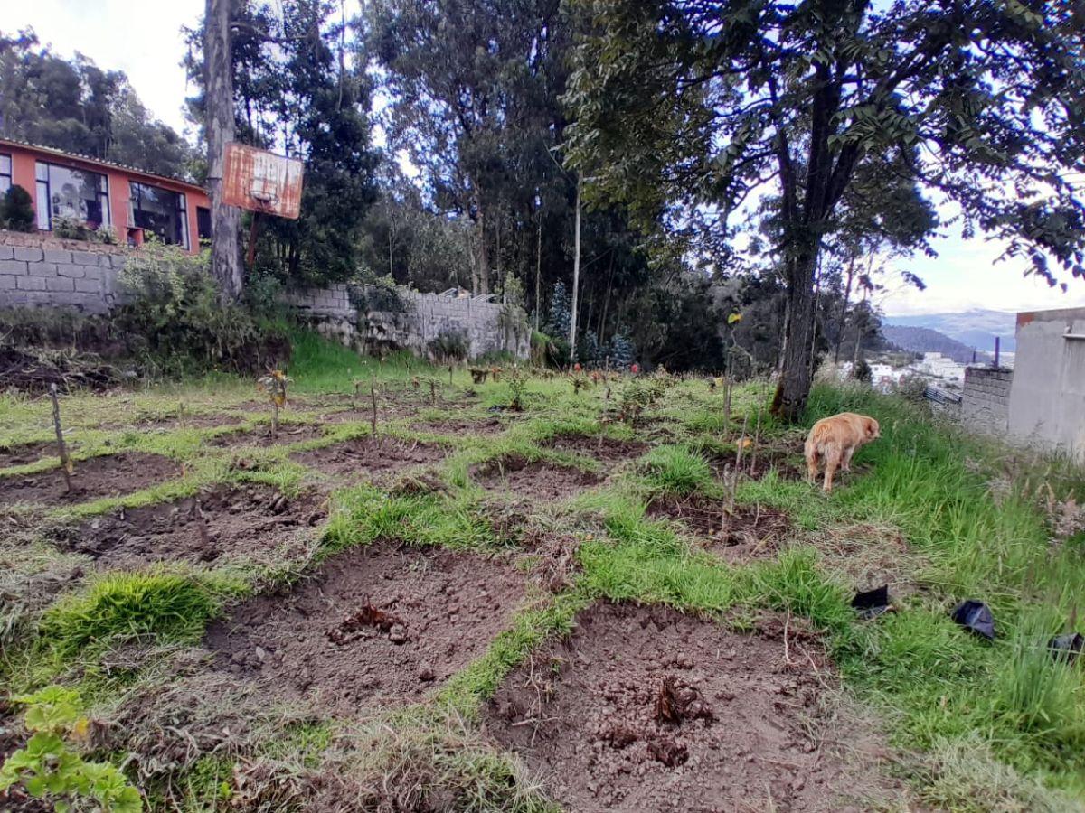 Terreno de 1200 m² en Venta en Cochapamba — imagen 5
