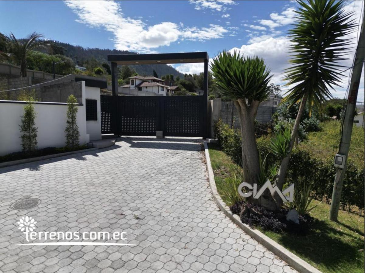 Cima — imagen 10