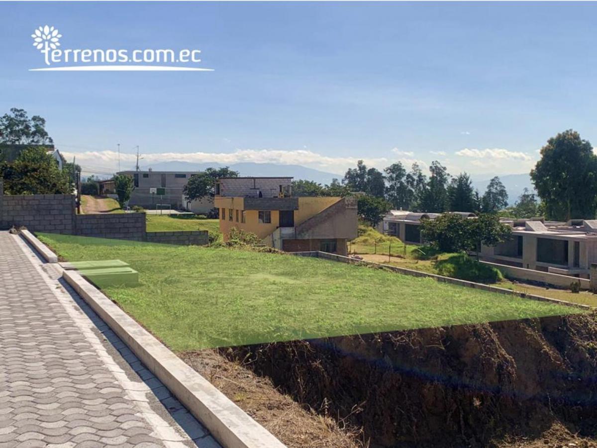 Cima — imagen 8