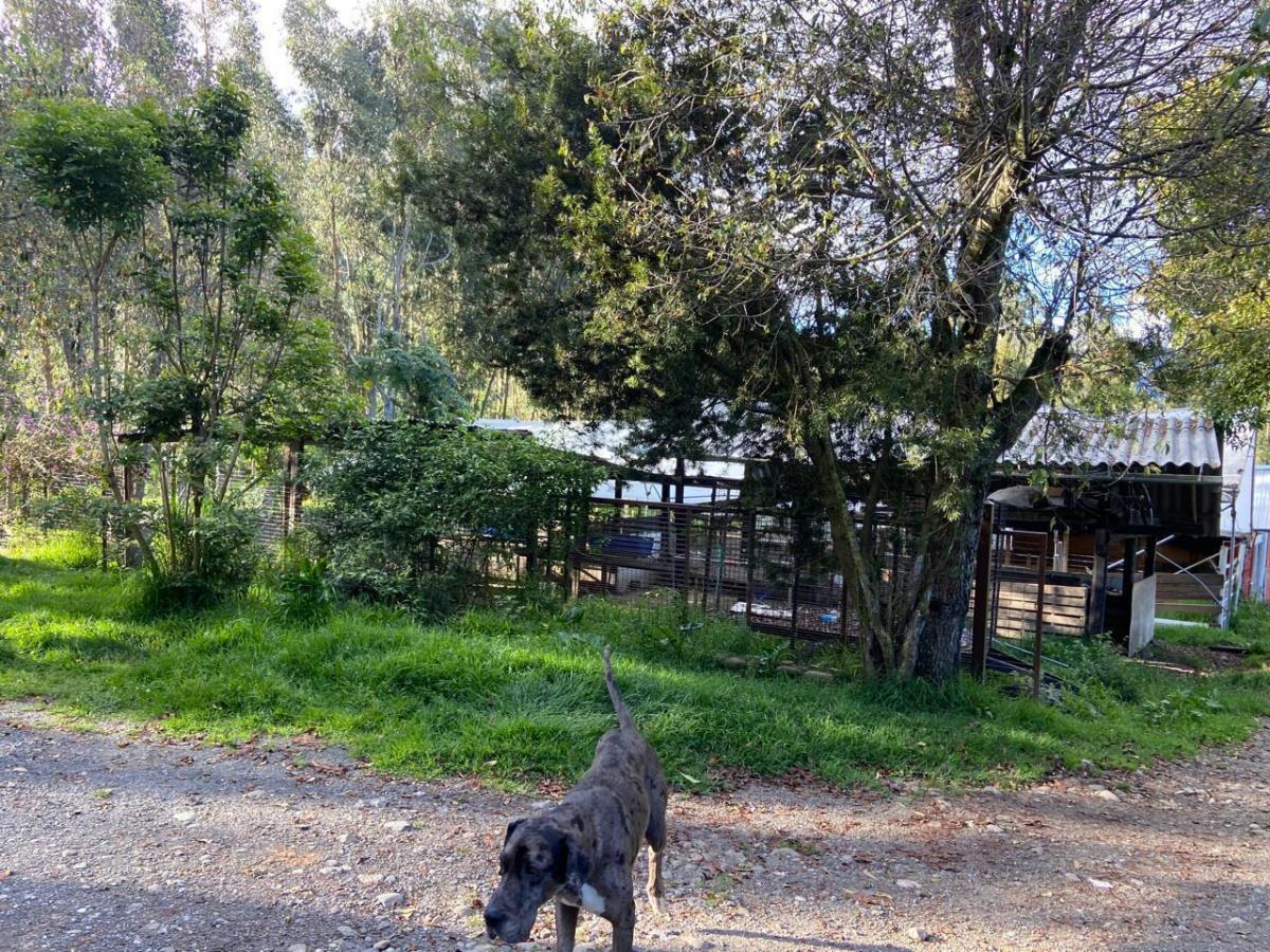 Terreno con Casa, en Chiquintad. 14 Mil m, Azuay — imagen 7