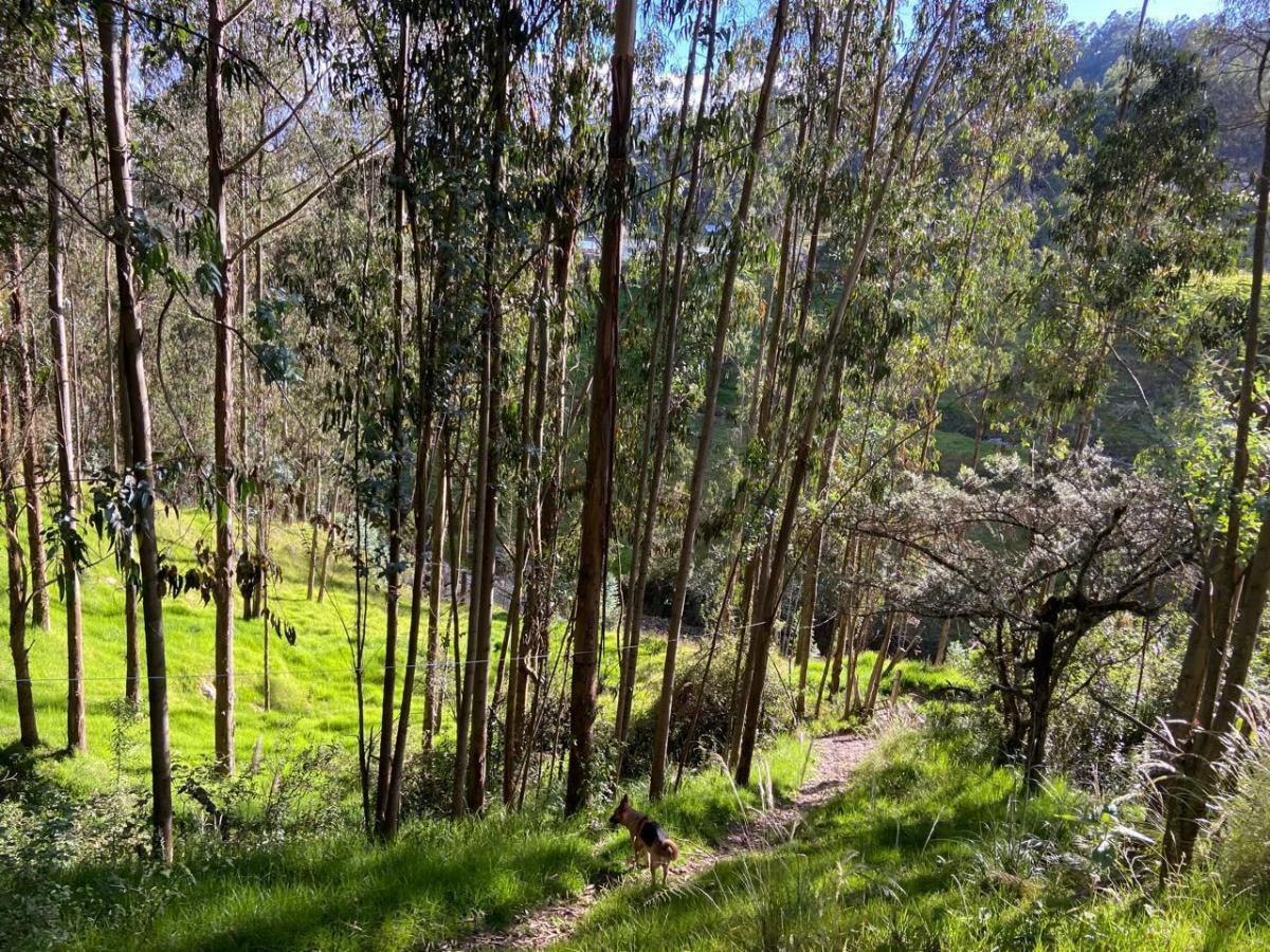 Terreno con Casa, en Chiquintad. 14 Mil m, Azuay — imagen 5