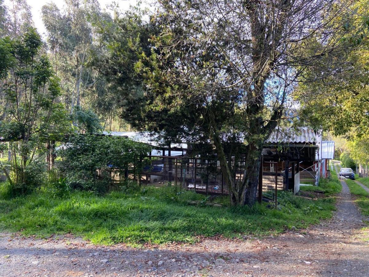 Terreno con Casa, en Chiquintad. 14 Mil m, Azuay — imagen 3