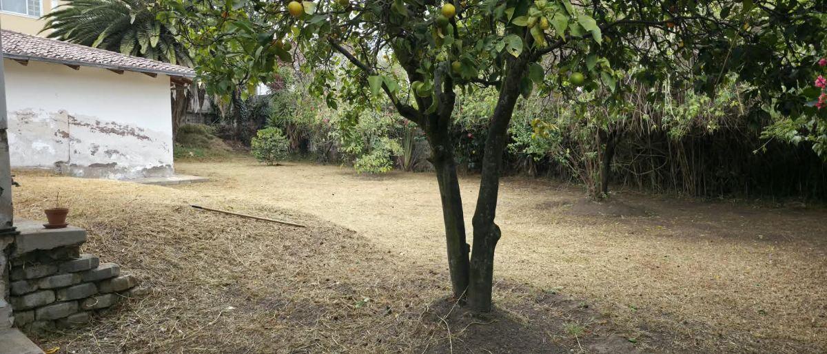 Renta Terreno Comercial 2392 m Manuela Saenz — imagen 4