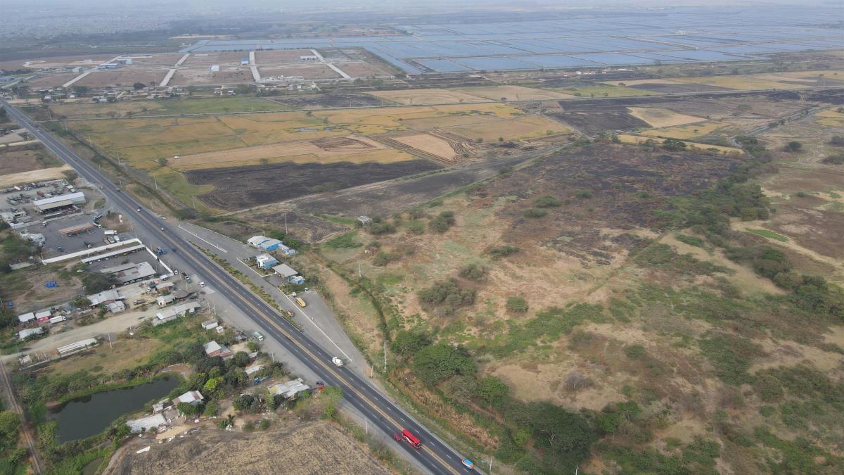Macrolote de 258.700 m² en Venta – Km 14 Vía Durán - Yaguachi, Guayas — imagen 5