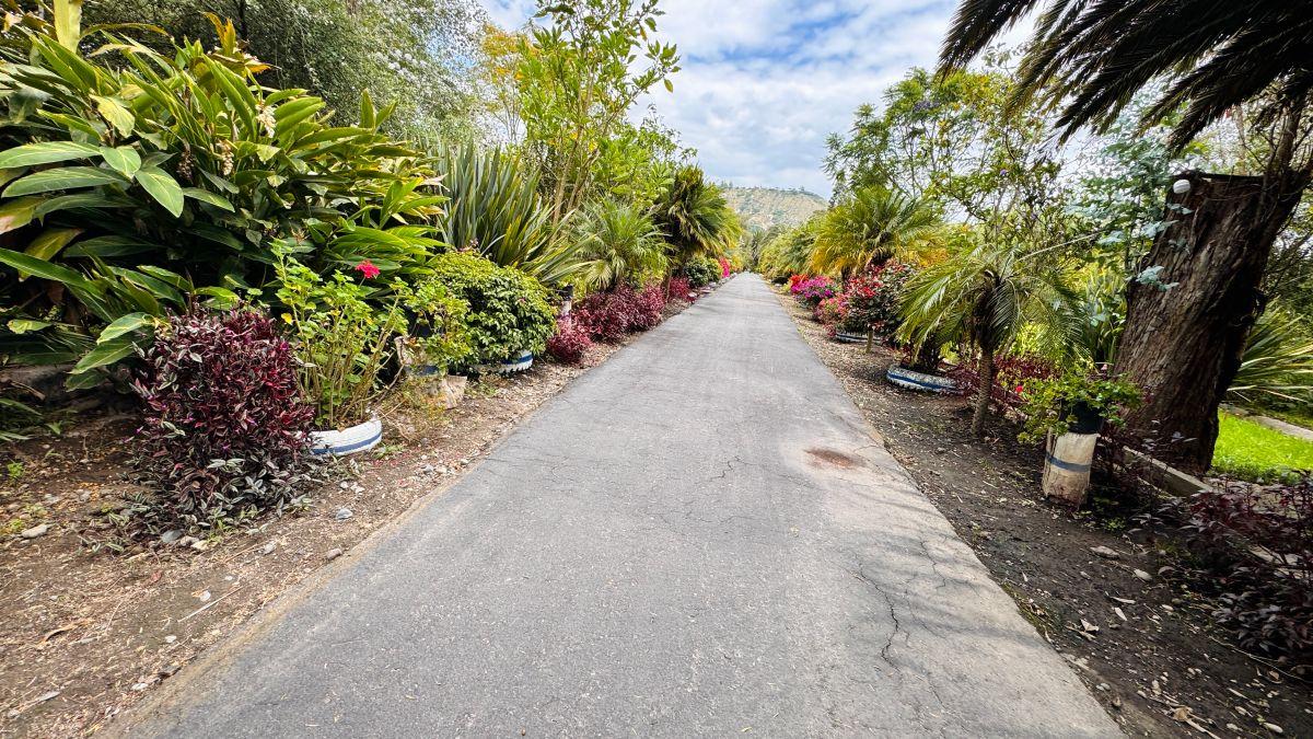 Vendo Hermoso Terreno Plano en Guayllabamba — imagen 10