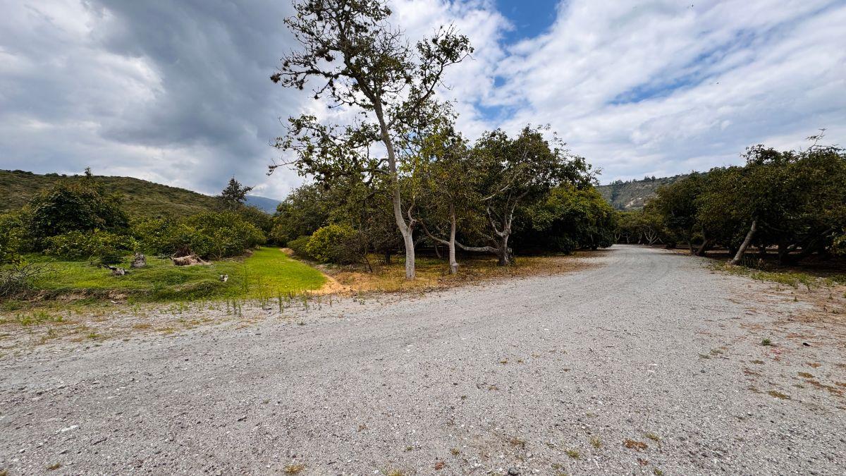 Vendo Hermoso Terreno Plano en Guayllabamba — imagen 9