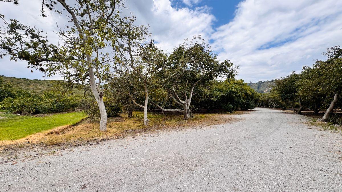 Vendo Hermoso Terreno Plano en Guayllabamba — imagen 8