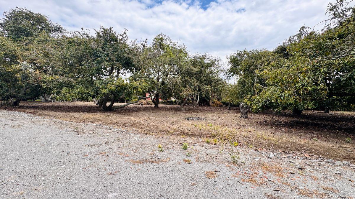 Vendo Hermoso Terreno Plano en Guayllabamba — imagen 6