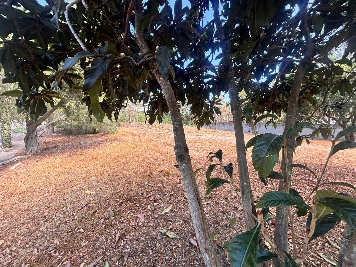 Terreno Exclusivo en La Vieja Hacienda – Cumbayá — imagen 6