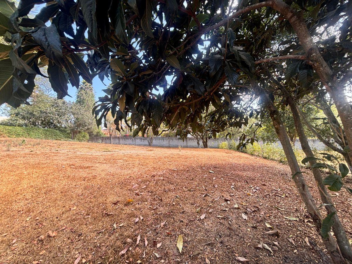 Terreno Exclusivo en La Vieja Hacienda – Cumbayá — imagen 5