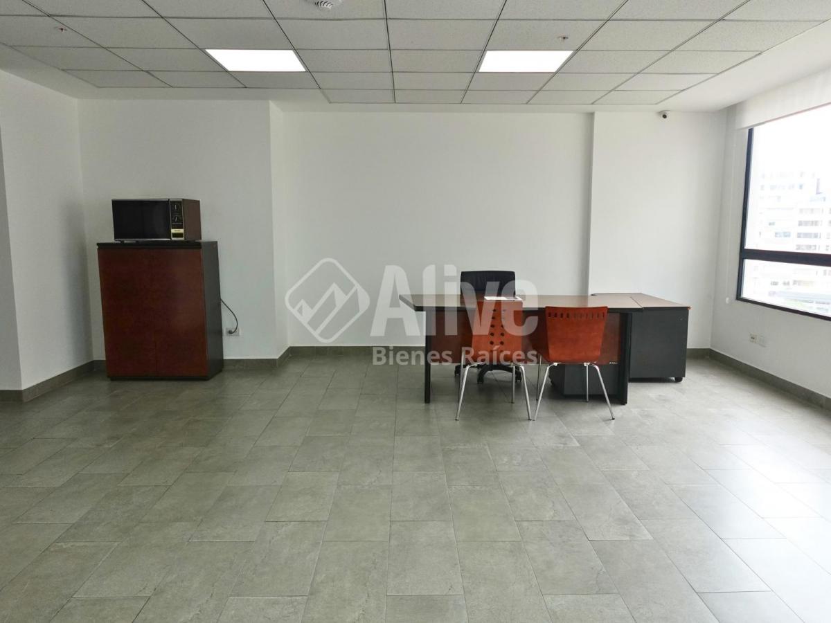 Oficina de Venta en La Carolina — imagen 10