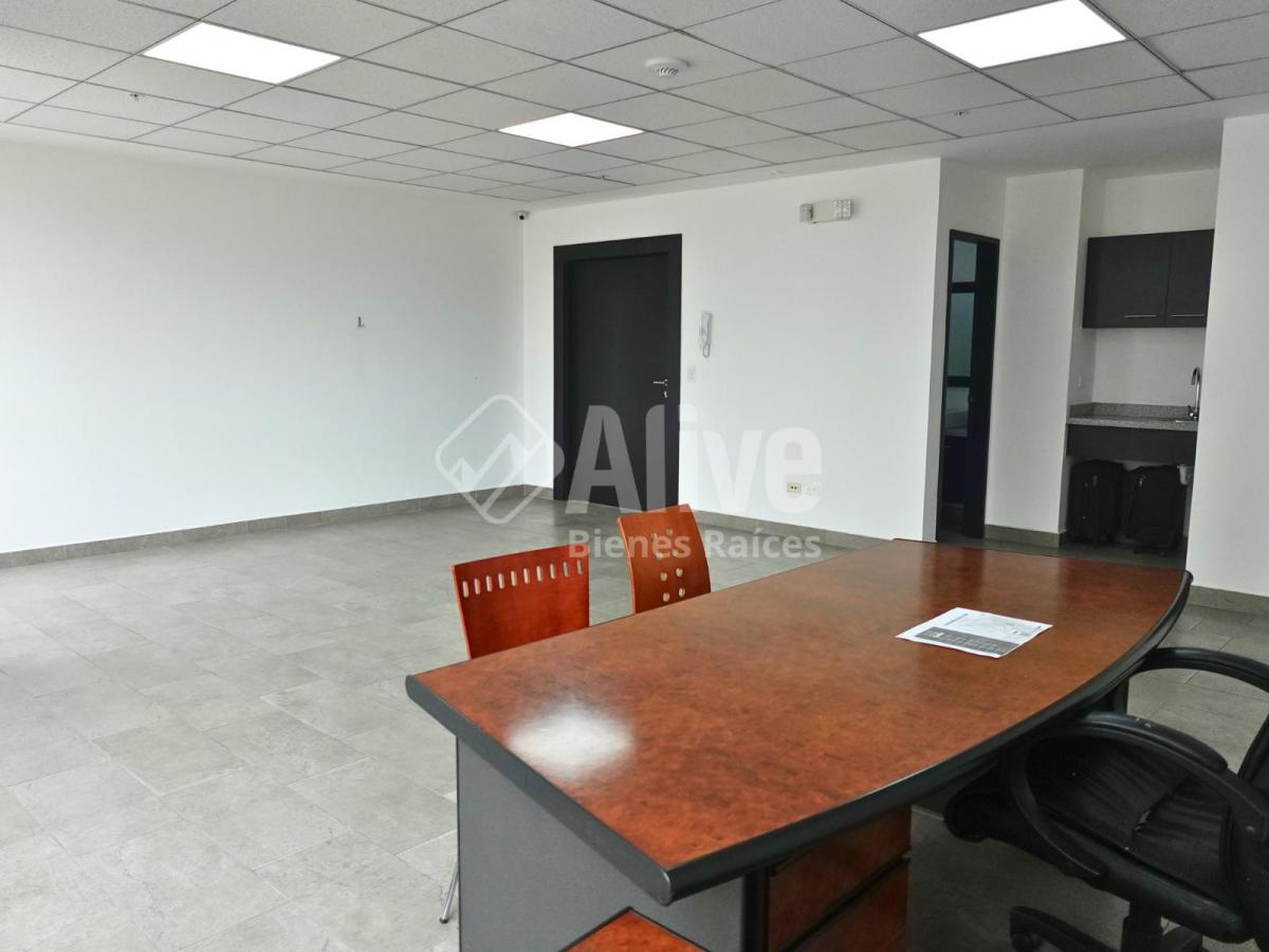 Oficina de Venta en La Carolina — imagen 9