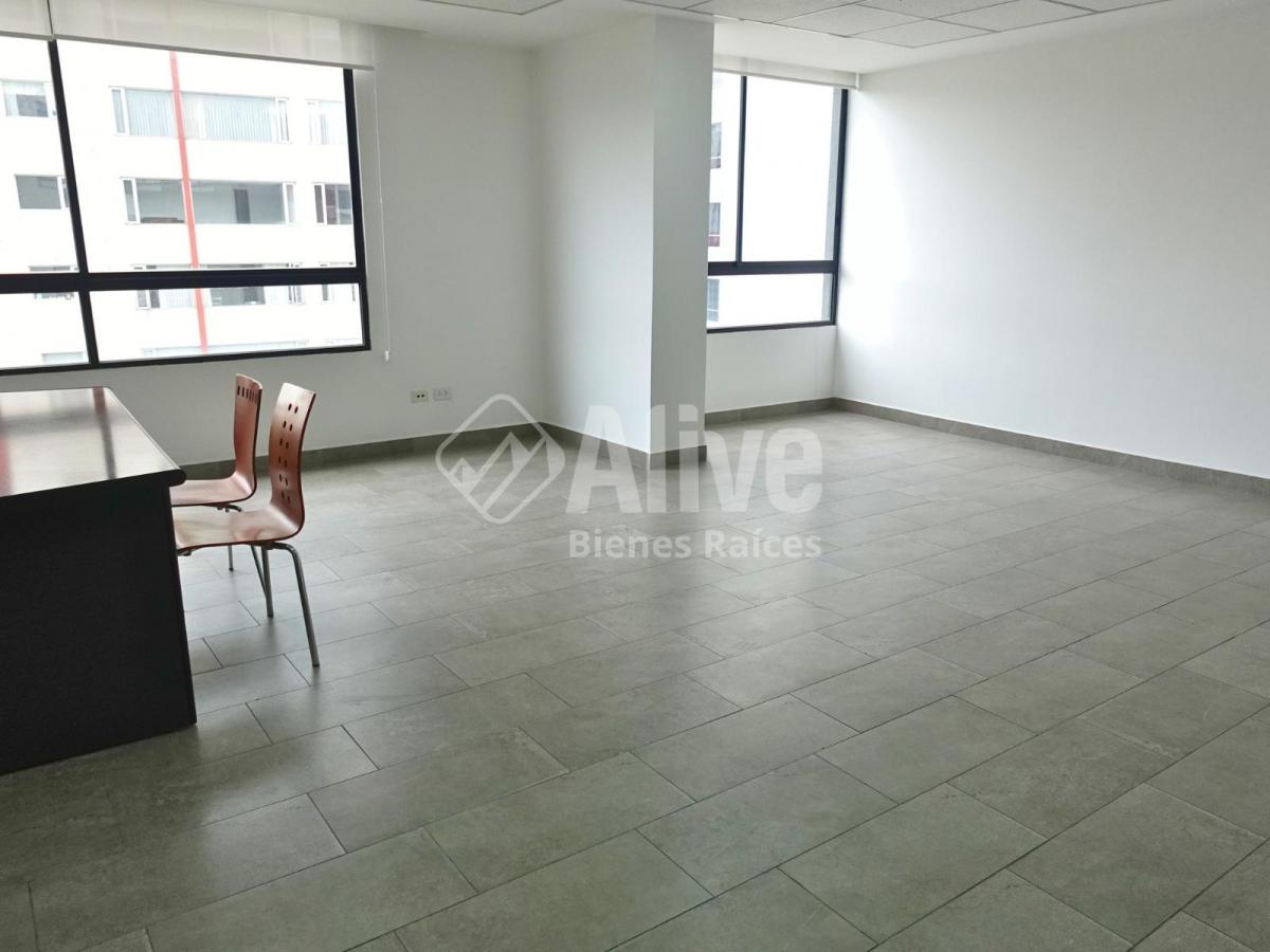 Oficina de Venta en La Carolina — imagen 7